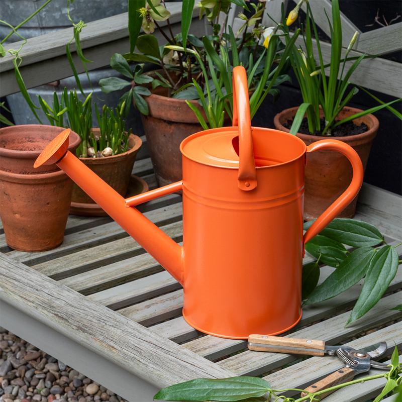 Rex London Orange Watering Can