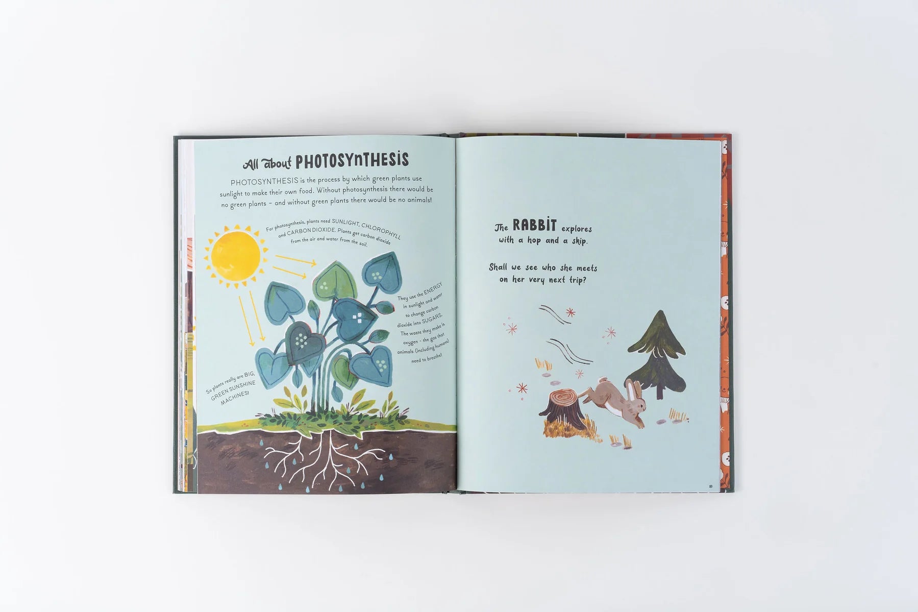 5 Minute Nature Stories