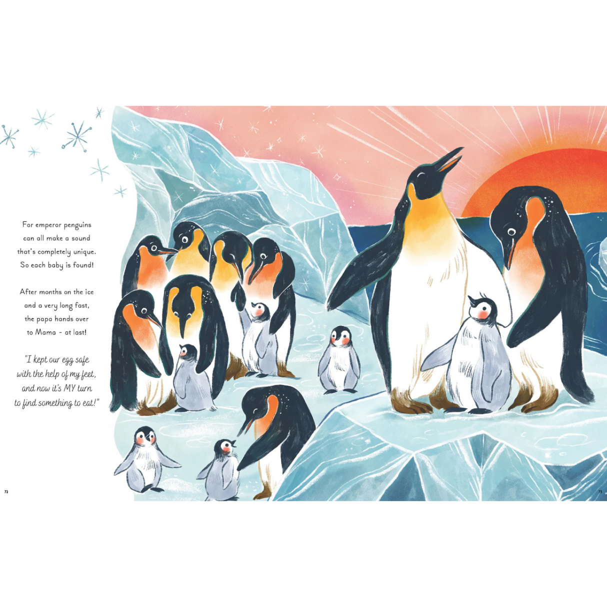 5 Minute Ocean Stories