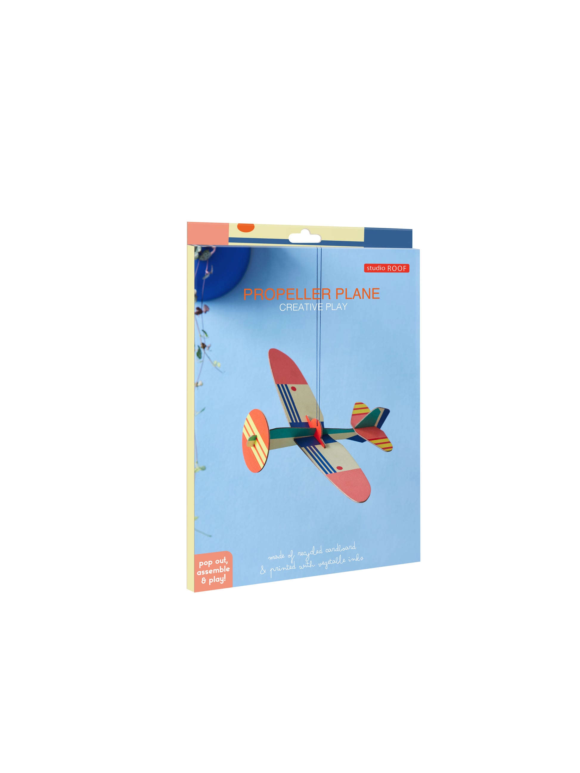 Studio Roof Propellor Plane