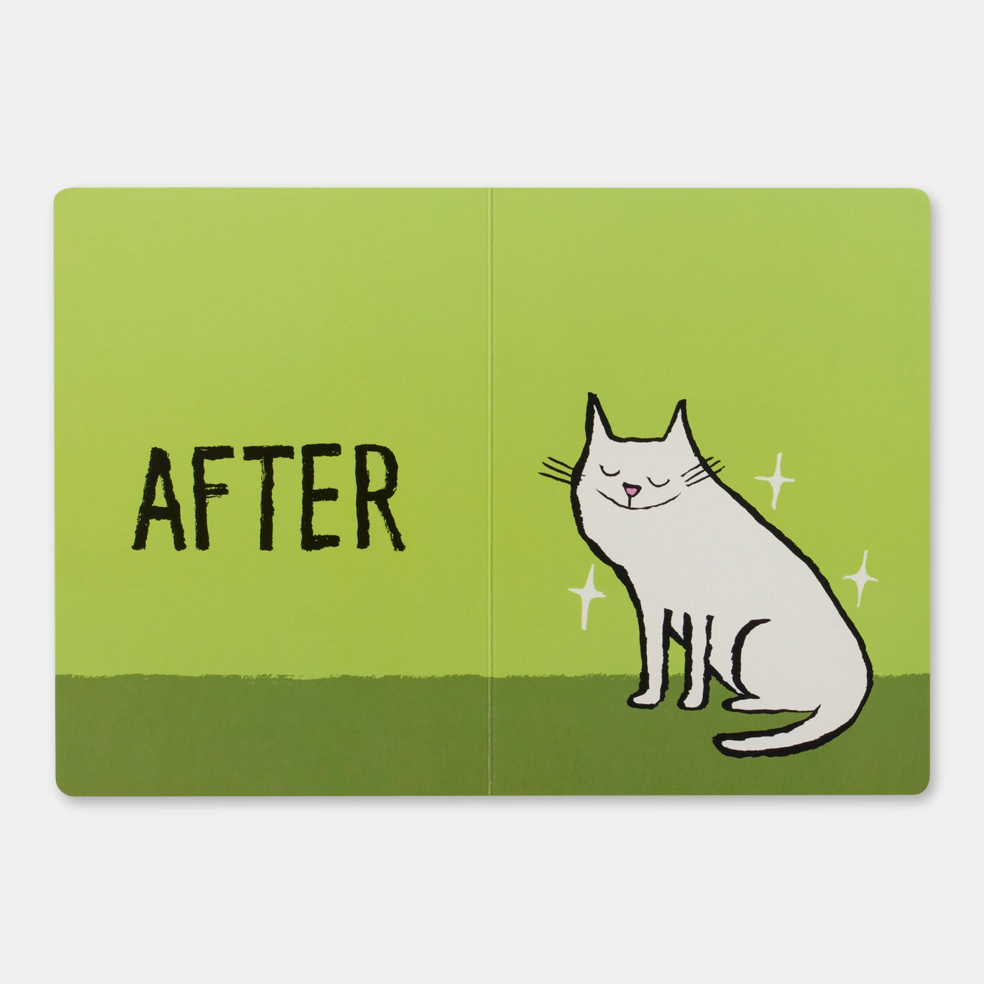 Before & After - Phaidon Press