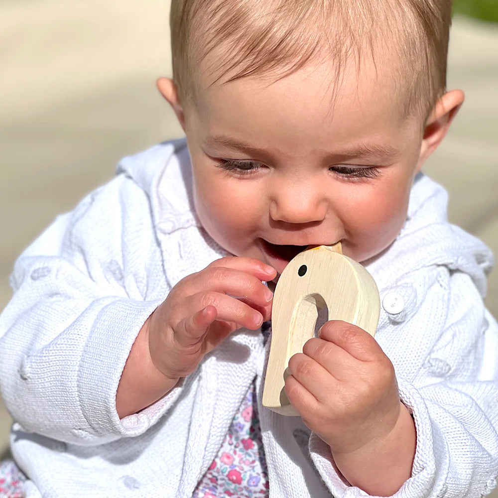 Bird and Kitten Teethers