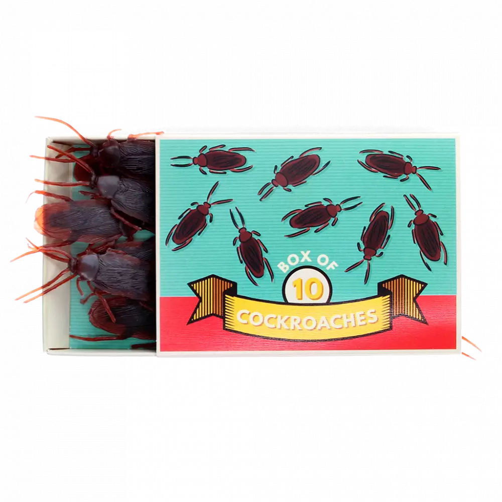Rex London Box of Cockroaches
