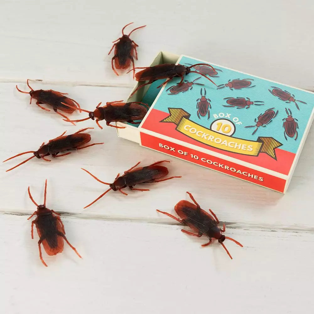 Rex London Box of Cockroaches