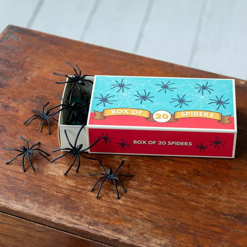 Rex London Box of Spiders