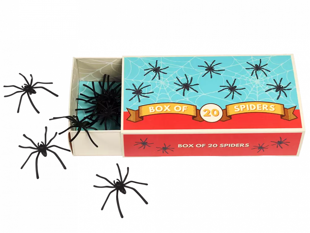 Rex London Box of Spiders