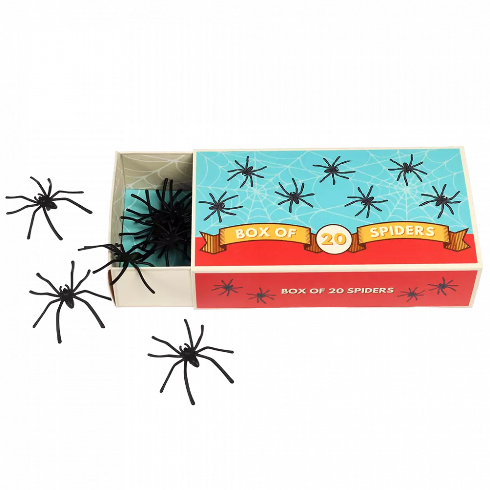 Rex London Box of Spiders