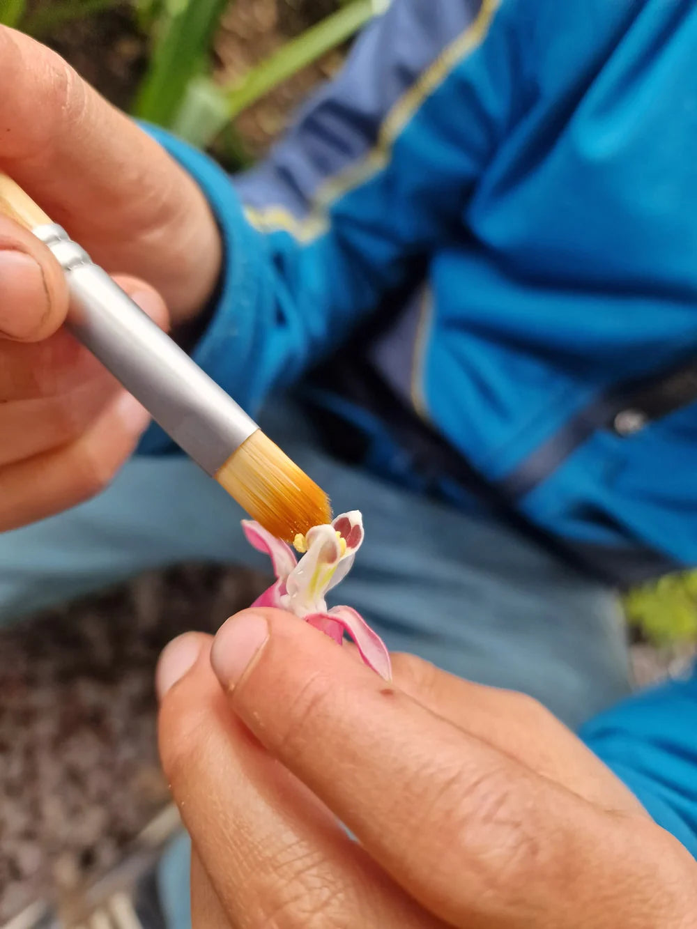 Dr Zigs Bubble Pollinator Kit