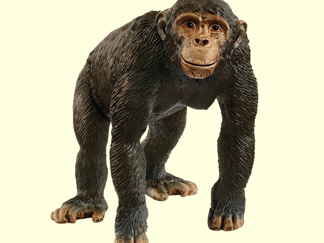 Schleich Chimpanzee