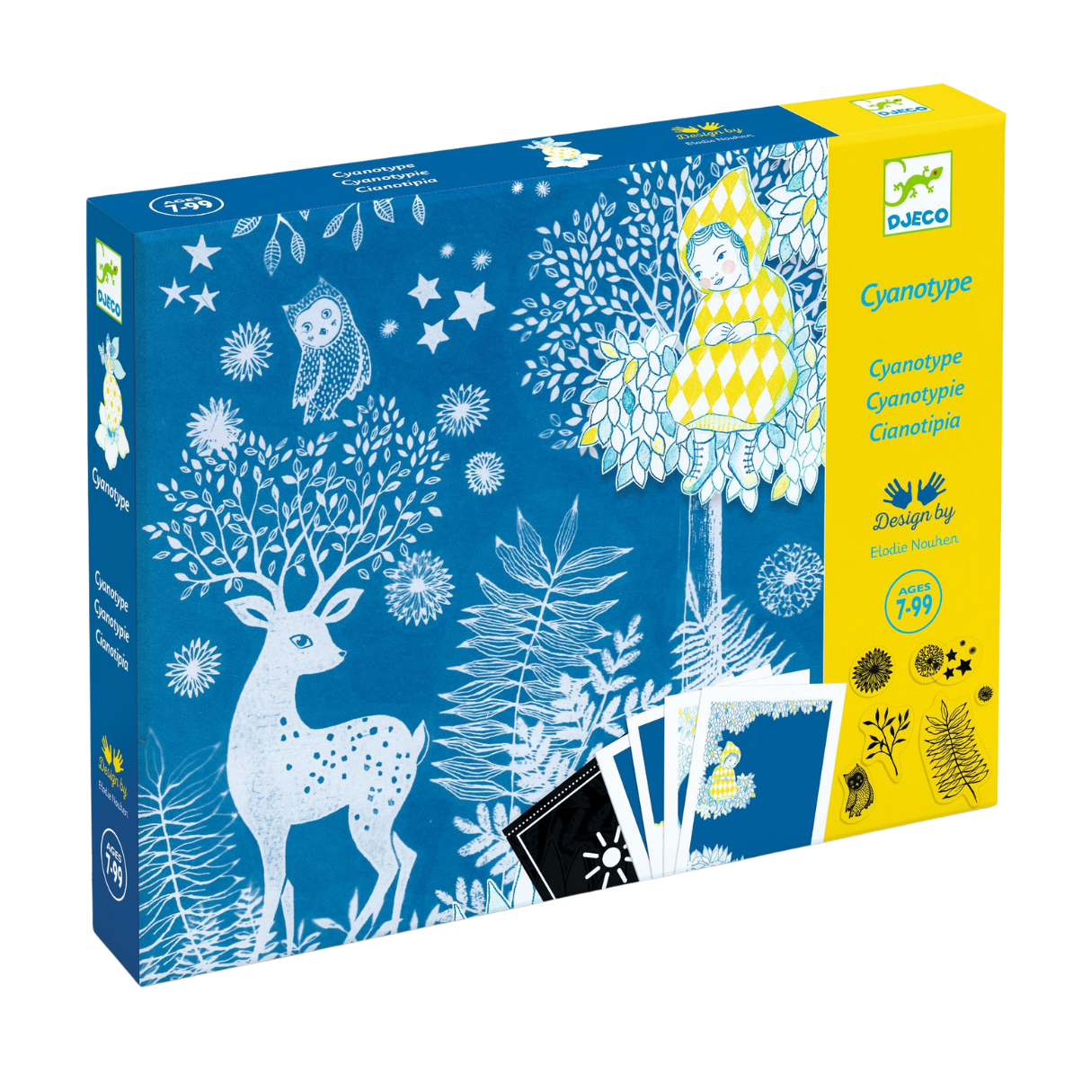 Au Clair De La Lune Cyanotype Kit