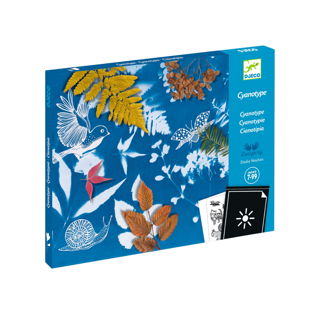 Djeco Cyanotype Kit