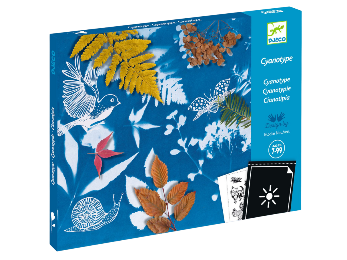 Djeco Cyanotype Kit