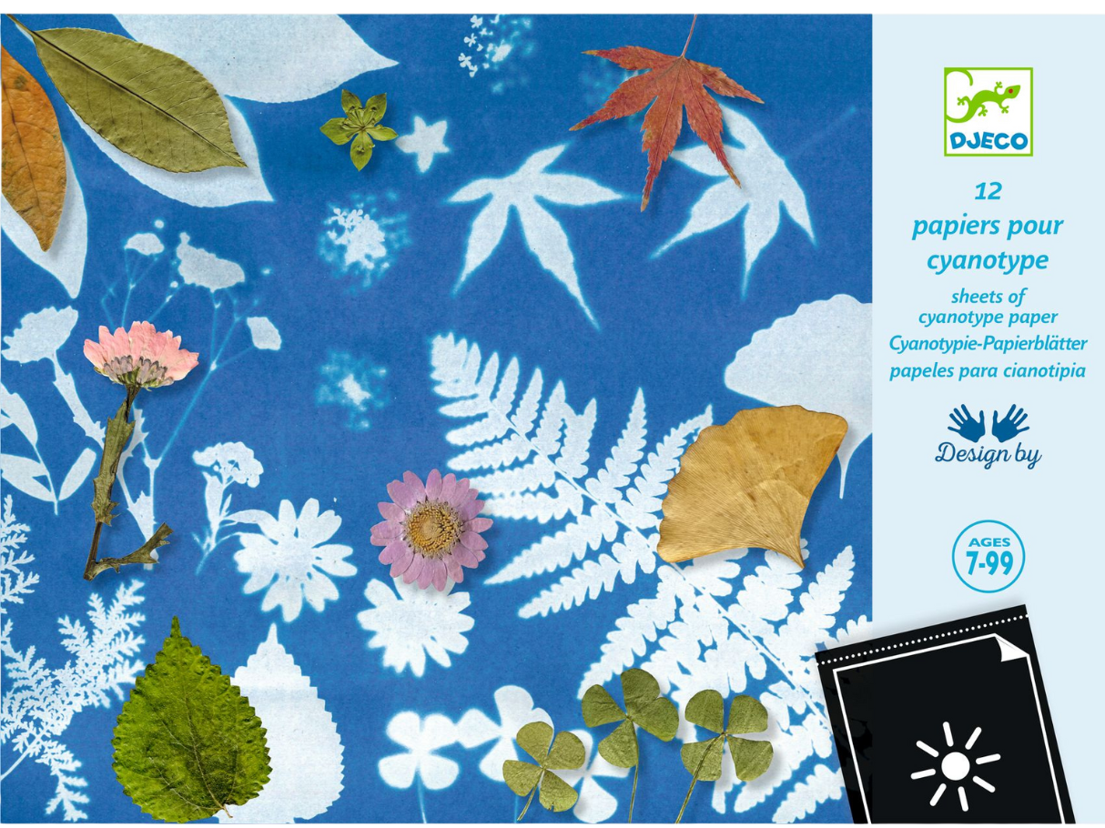 Djeco Cyanotype Paper Refills