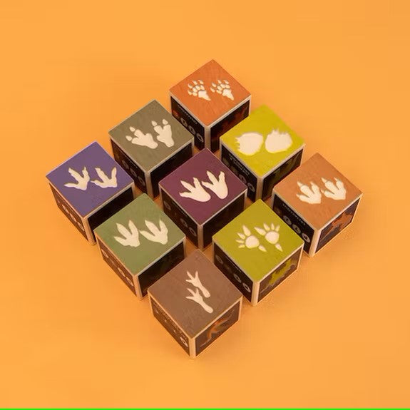 Dinosaur Blocks