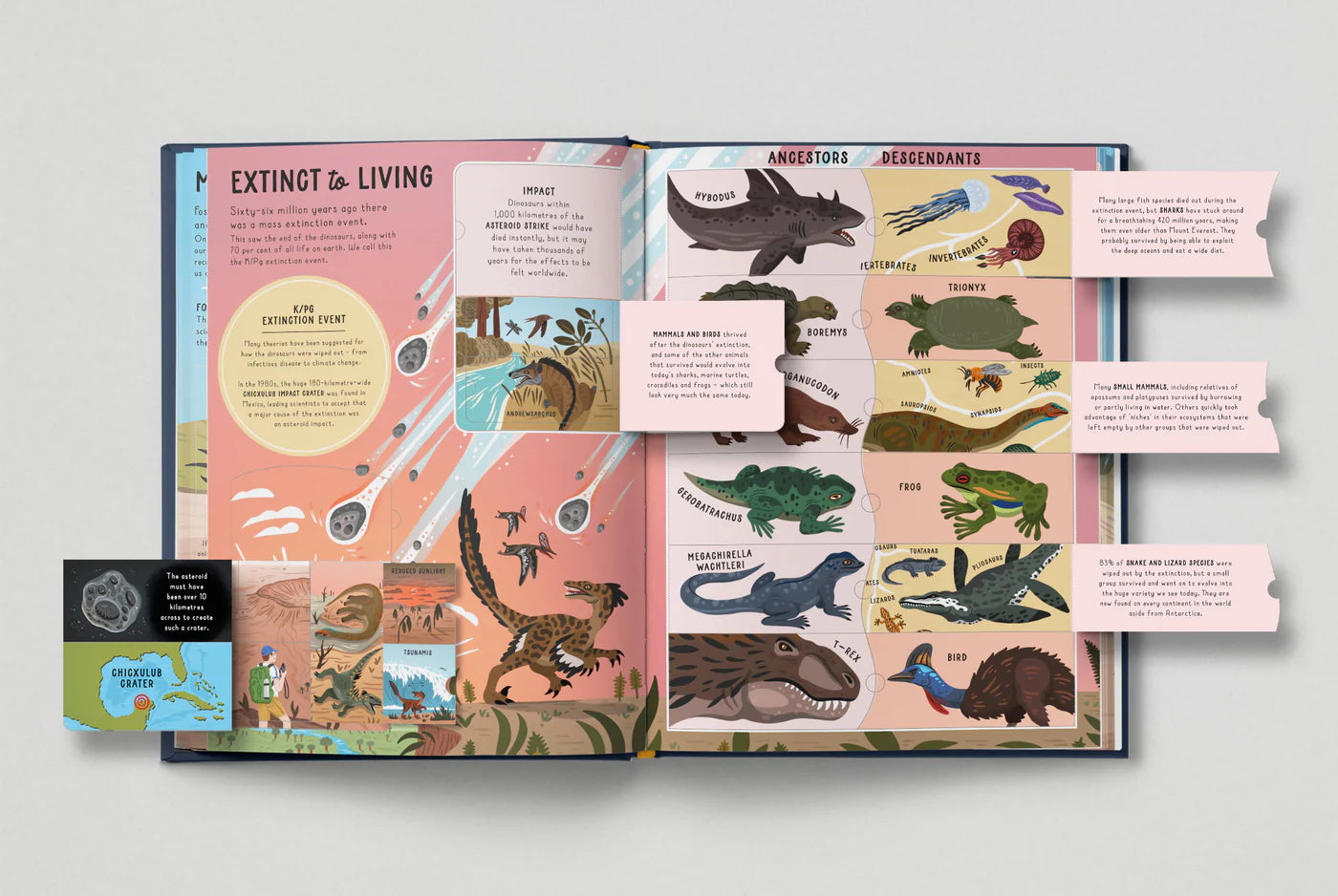 Lift the Flap: Encyclopaedia of Dinosaurs