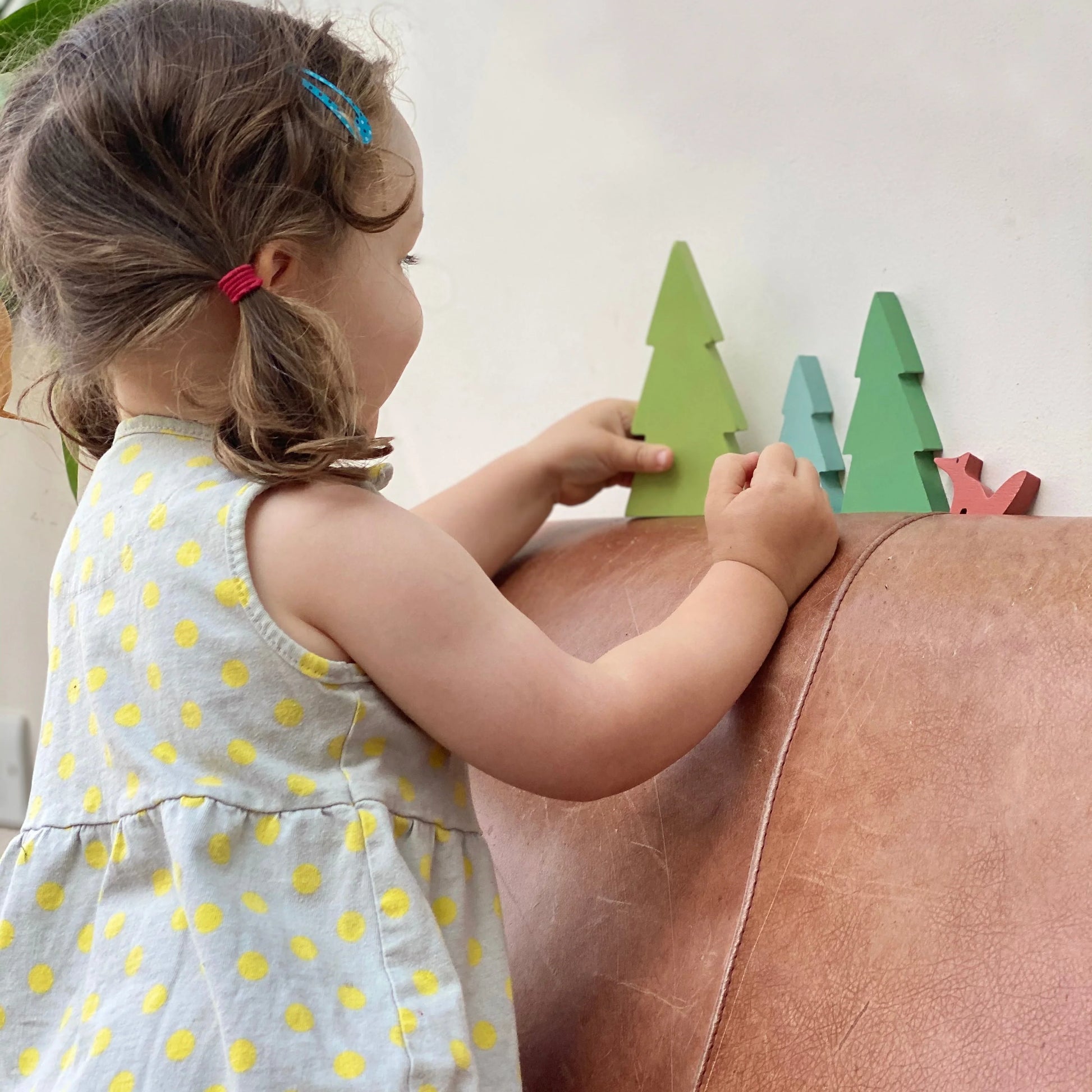 Tender Leaf Fir Tree Tops