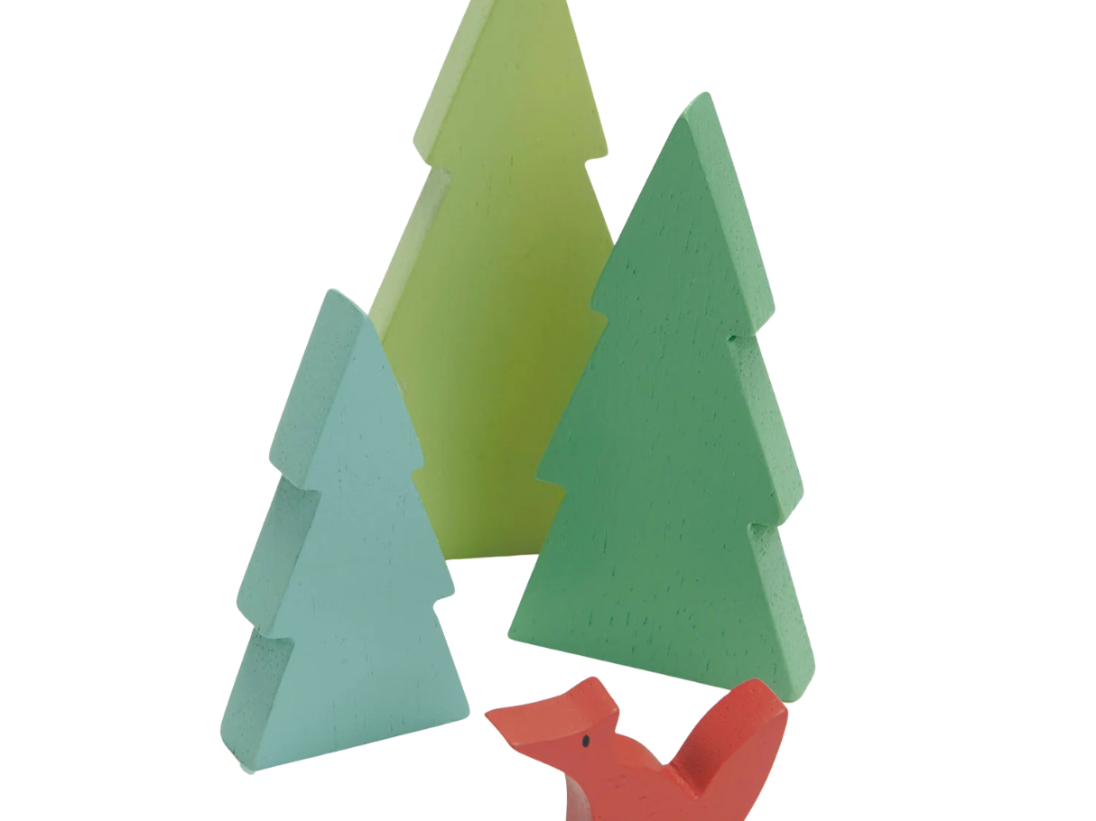 Tender Leaf Fir Tree Tops