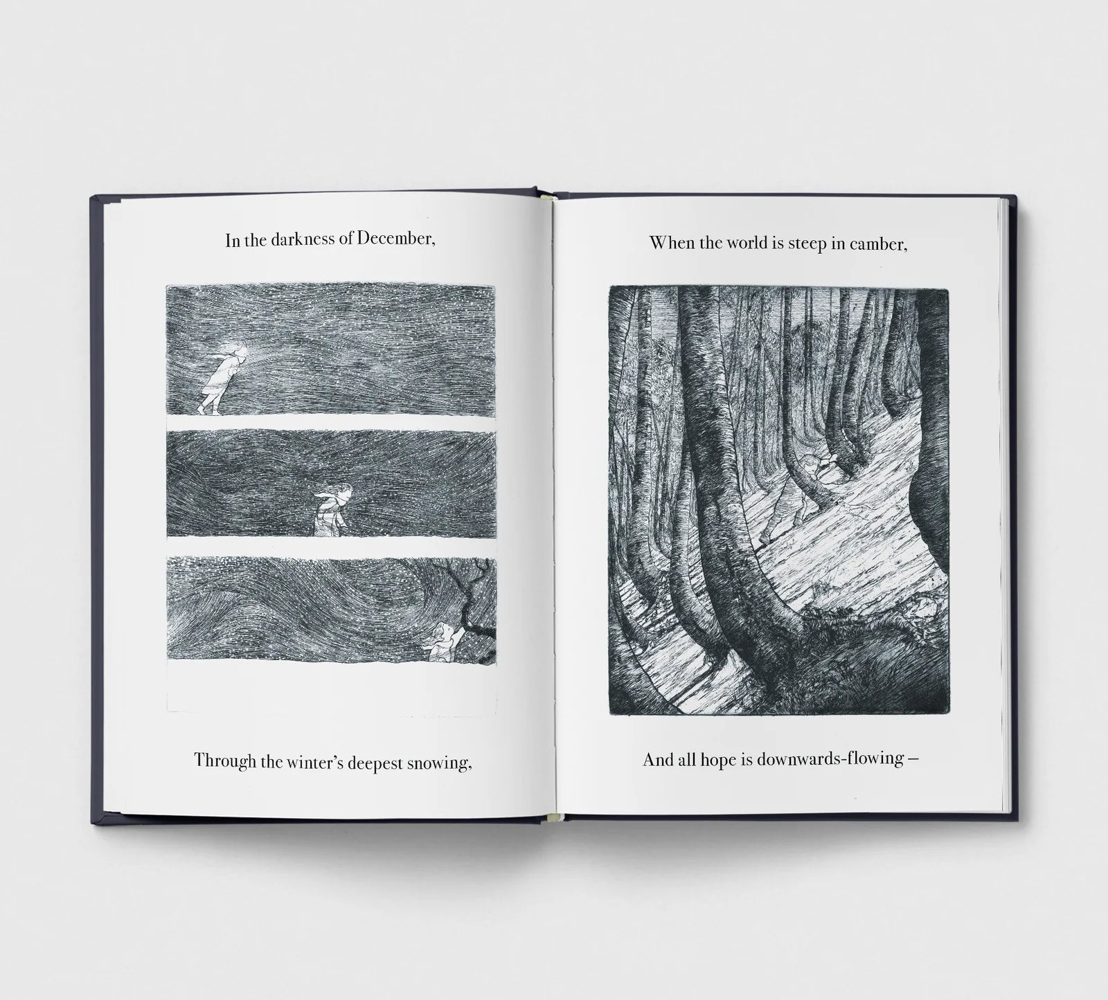 The Night Creatures: Firefly