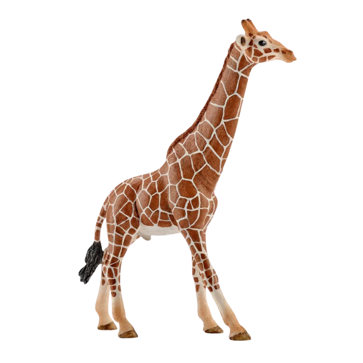 Schleich Giraffe, Male