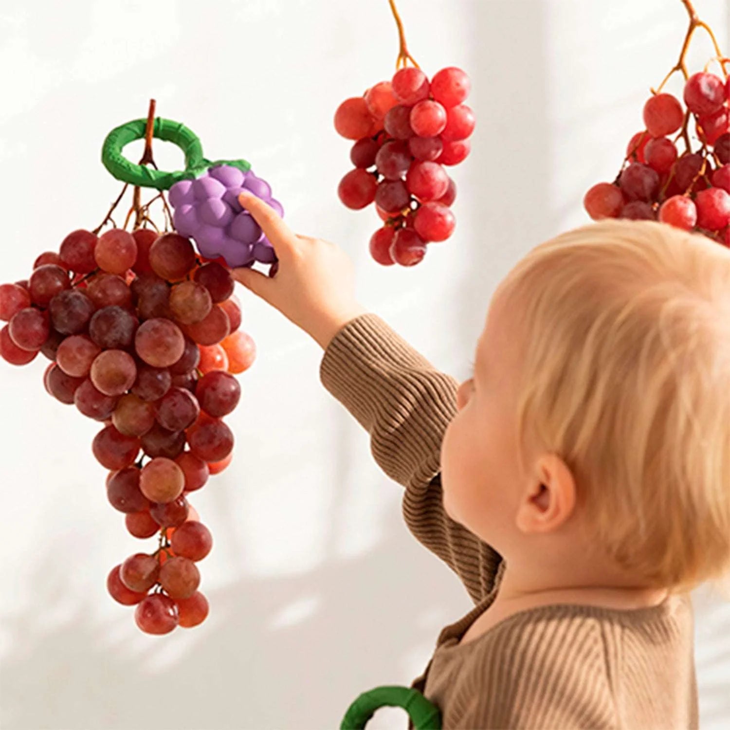 Oli & Carol Grape Rattle Teether Toy