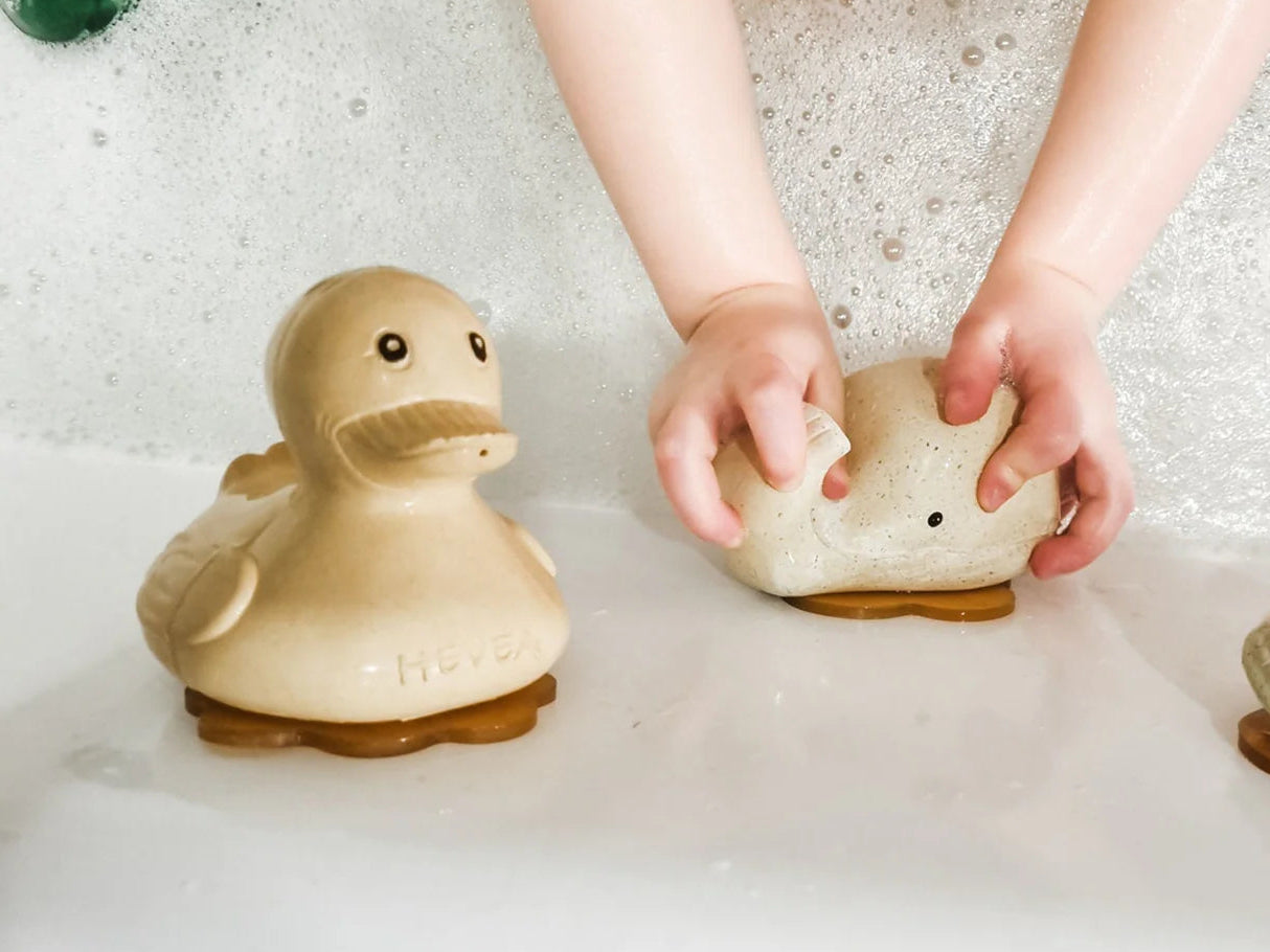 Squeeze'n'splash Rubber Duck & Frog