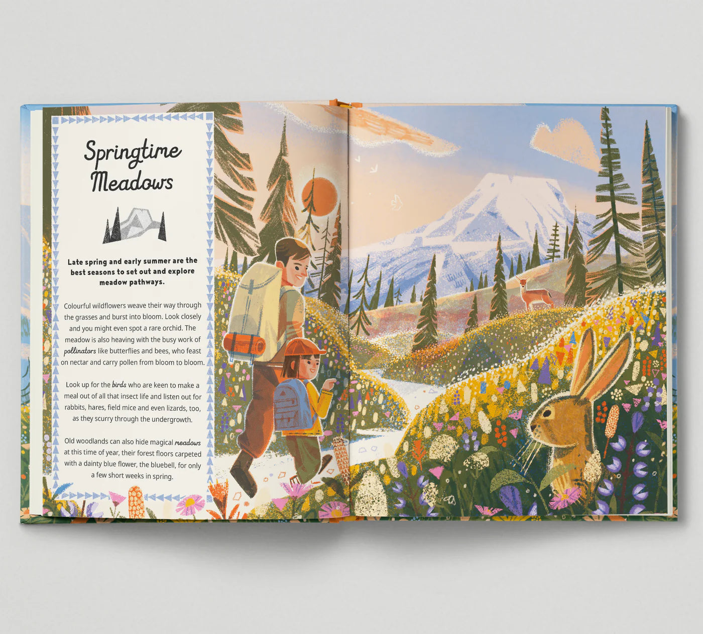 Hike It: An introduction to camping, hiking and backpacking