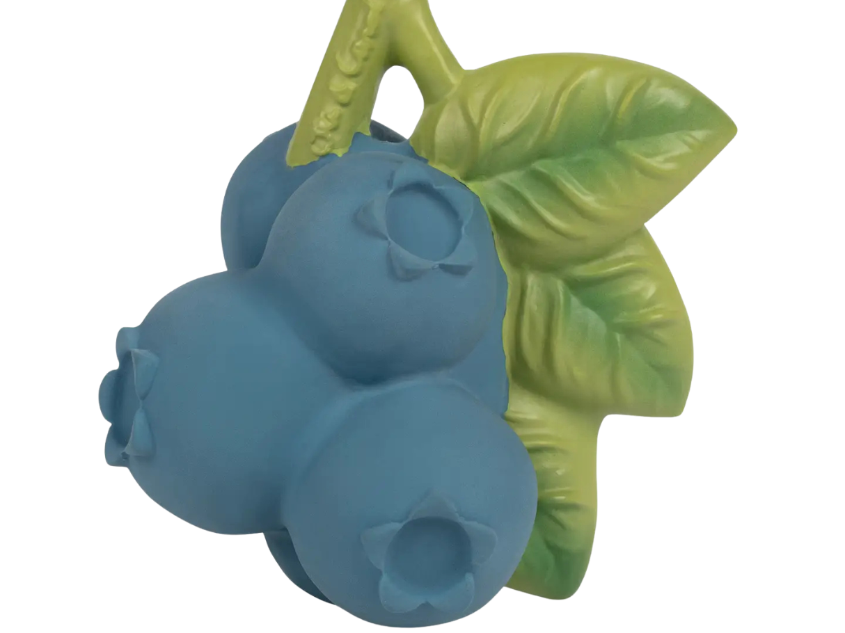 Oli & Carol Jerry The Blueberry Teether Toy