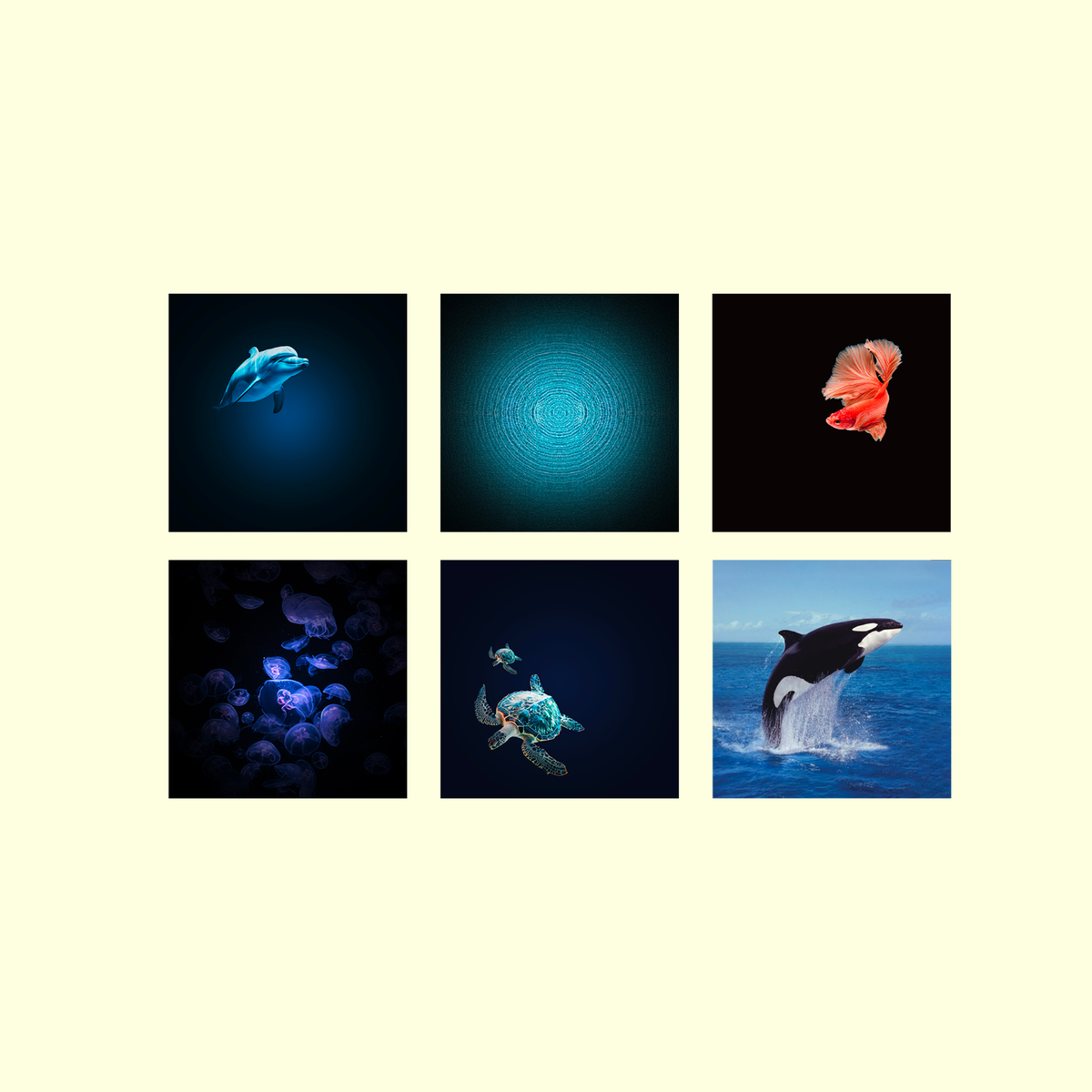 Kidywolf Kidystar Ocean and Seas Projector