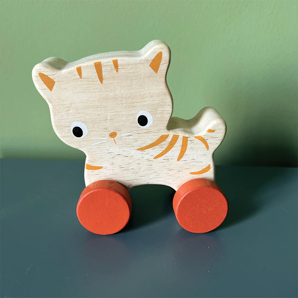 Kitten On Wheels
