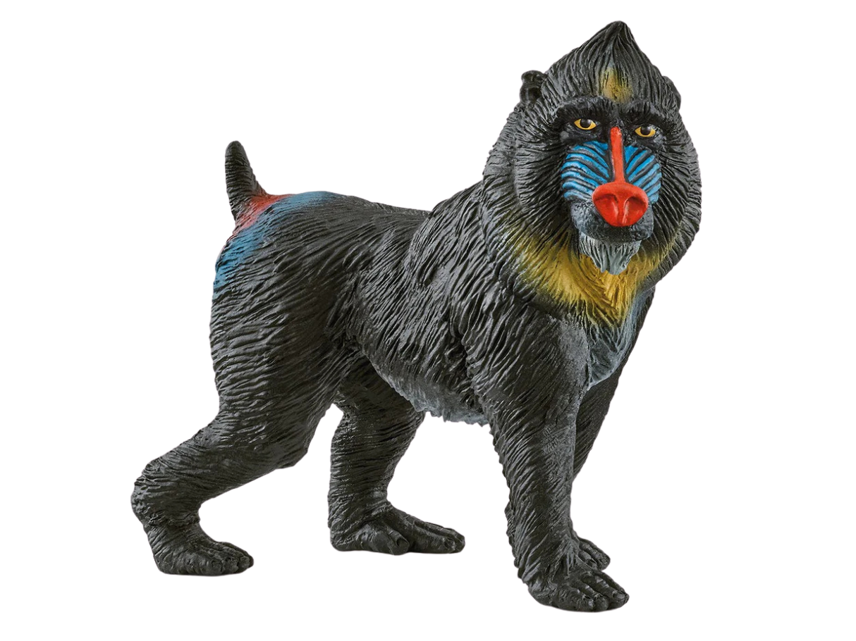 Schleich Mandrill