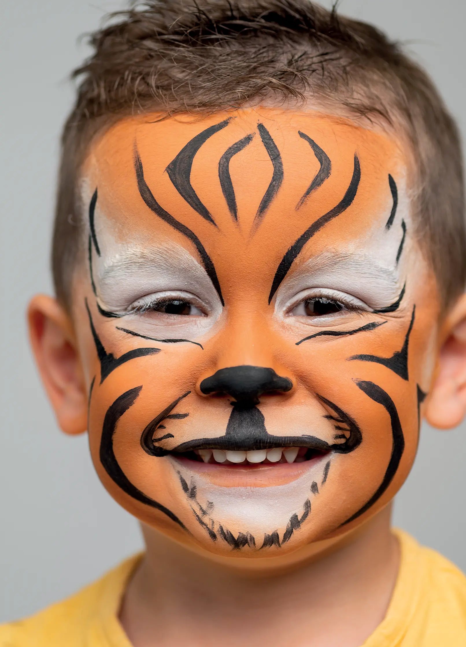 Namaki Face Painting Kit - Animals