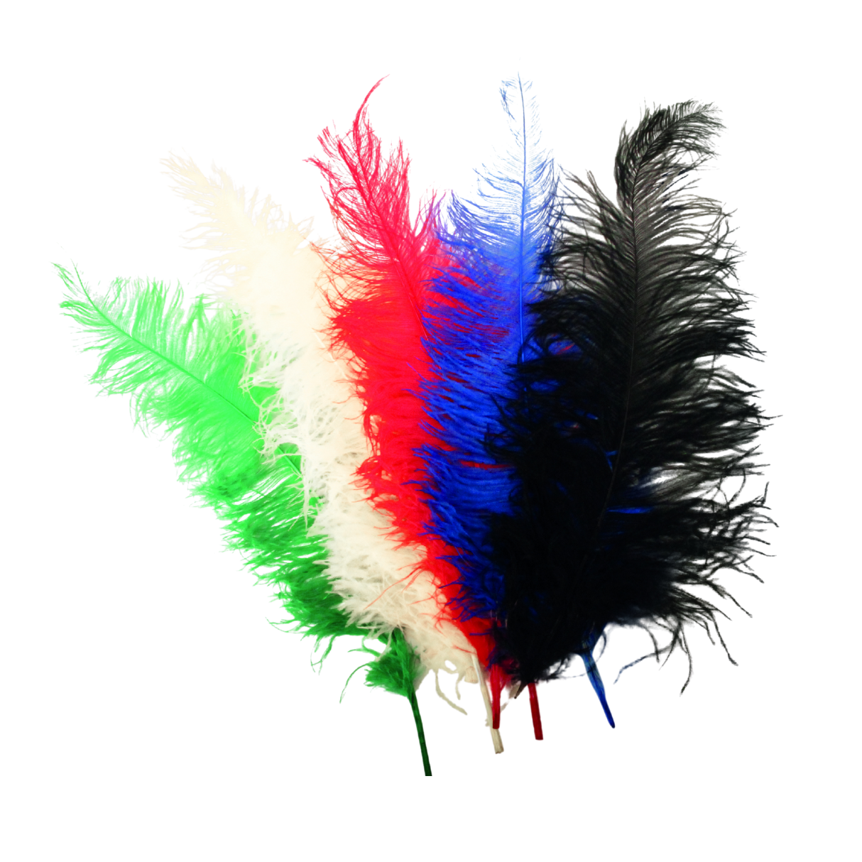 VAH Ostrich Feather