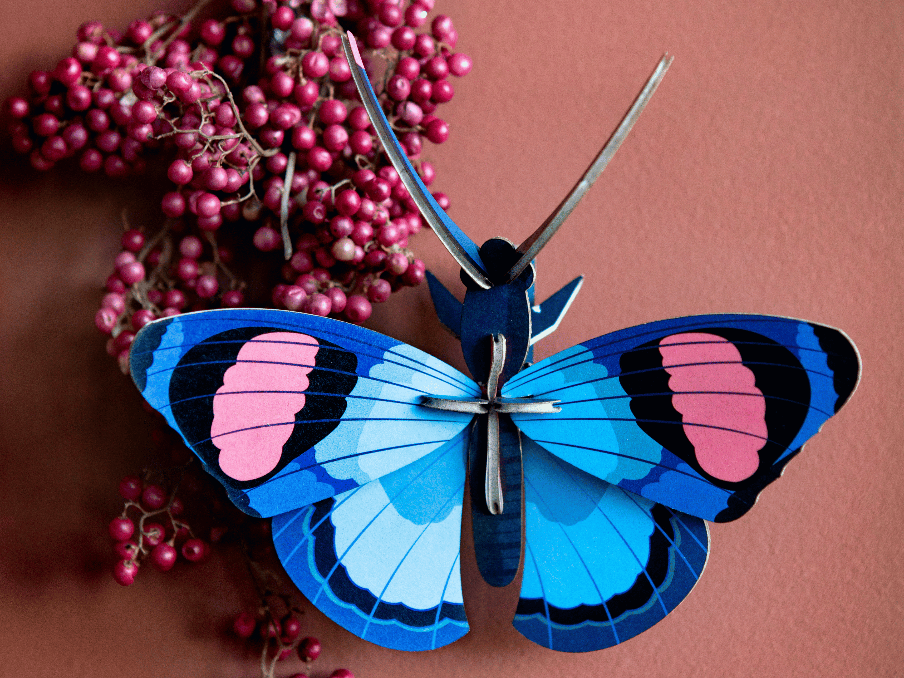 Studio Roof Peacock Butterfly