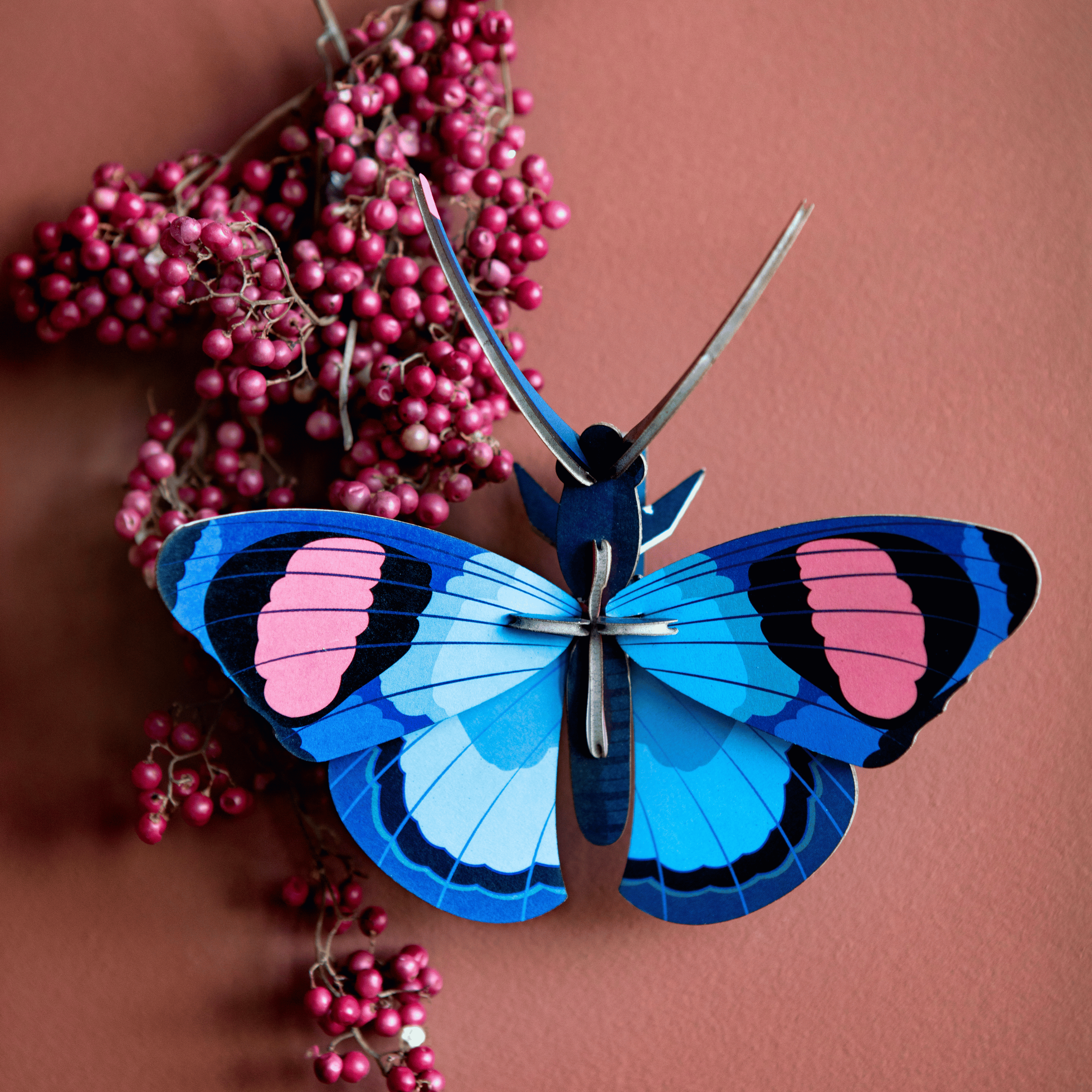 Studio Roof Peacock Butterfly