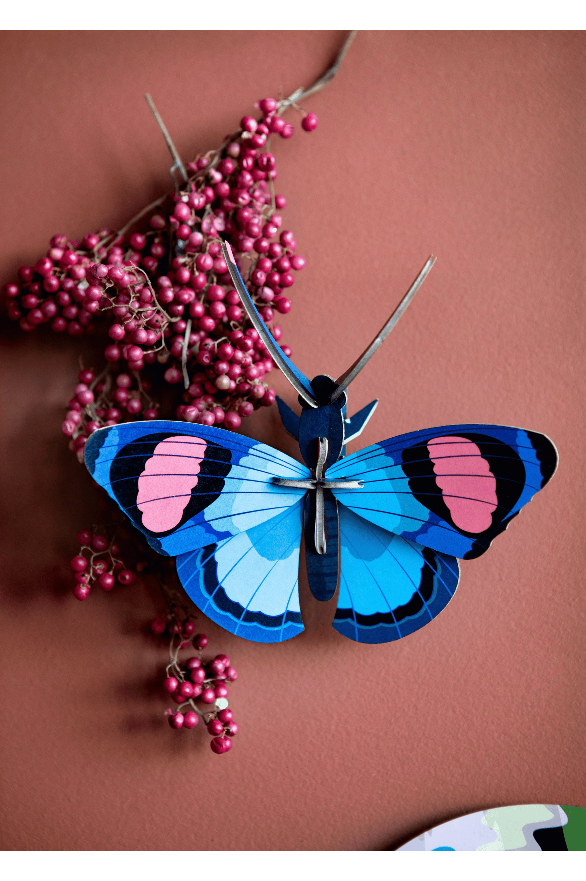 Studio Roof Peacock Butterfly
