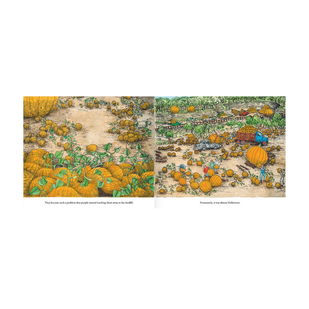 Pumpkin Island