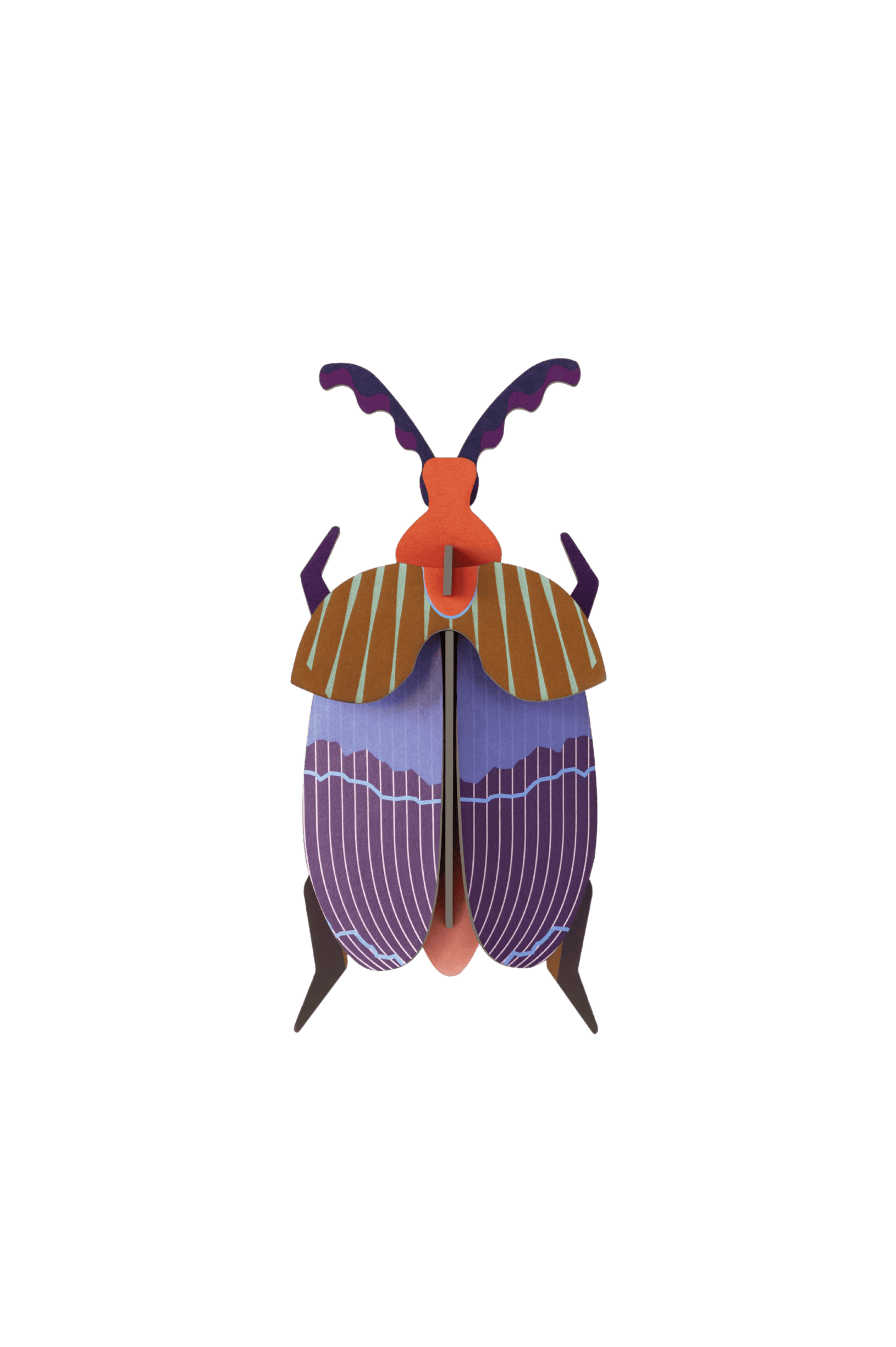Studio Roof Queen Beetle