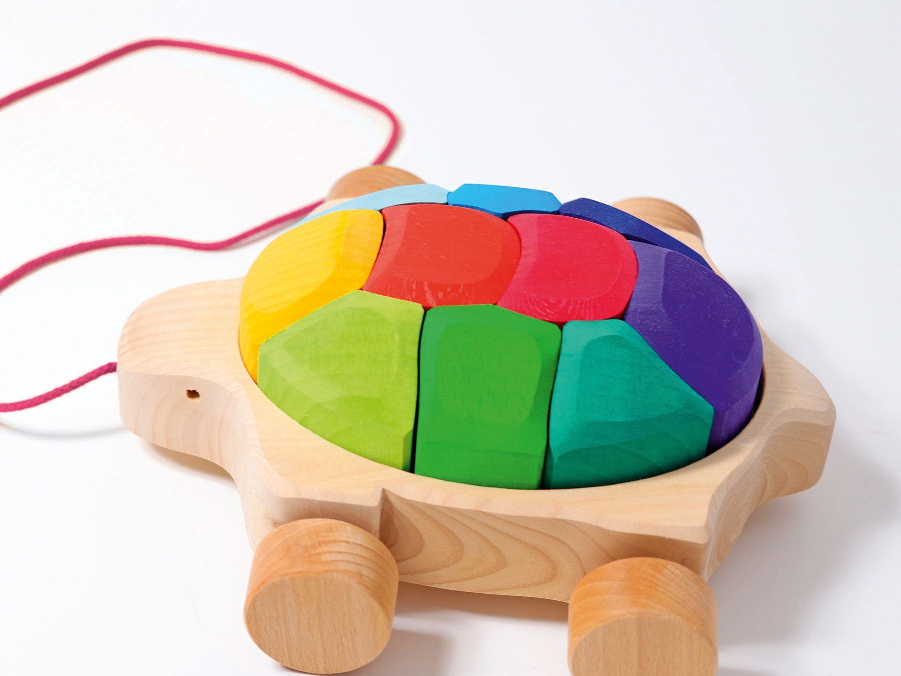 Grimm's Rainbow Turtle