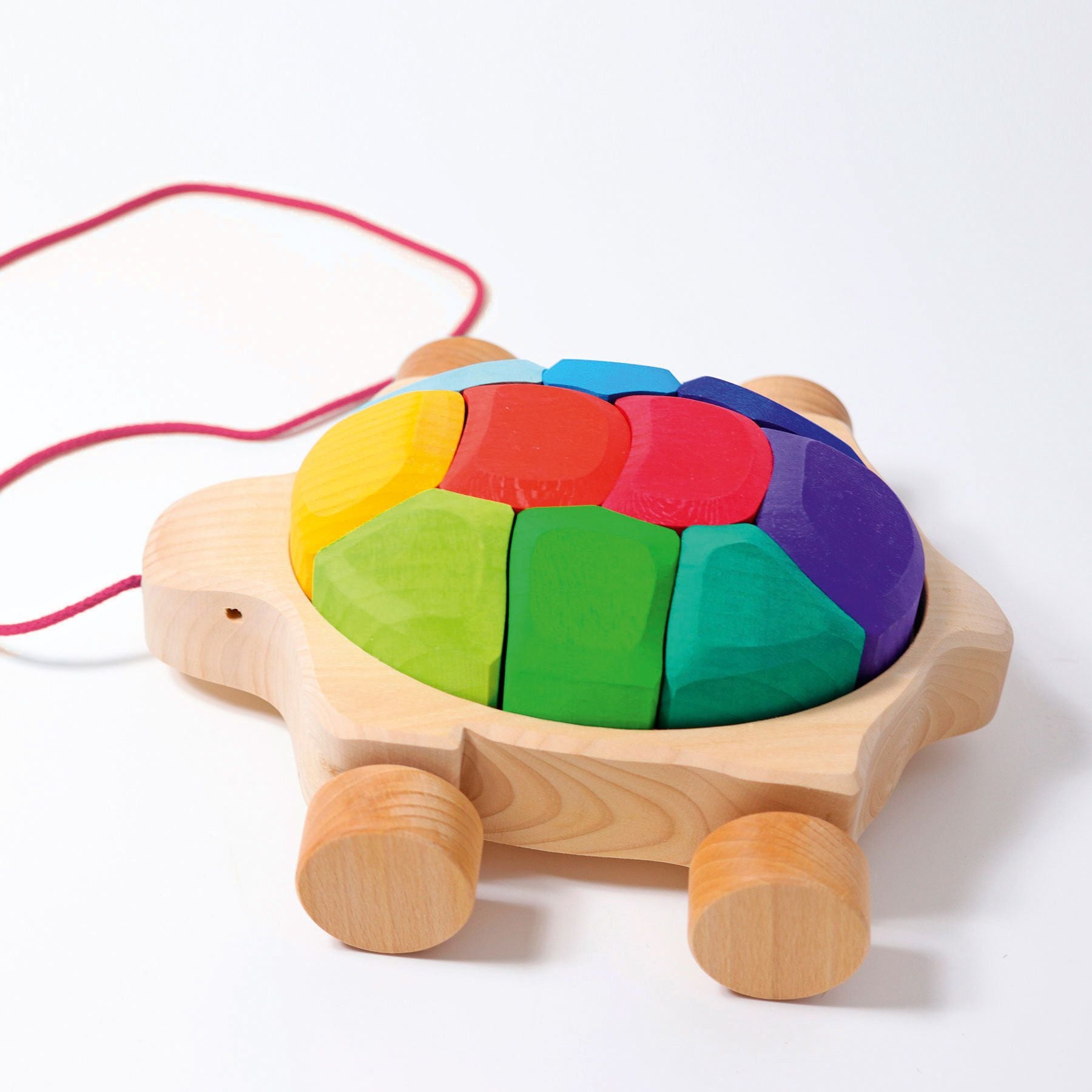 Grimm's Rainbow Turtle
