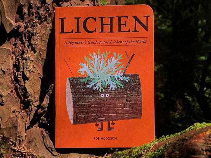 Book titled 'Lichen' by Rob Hodgson on a tree trunk in a forest setting