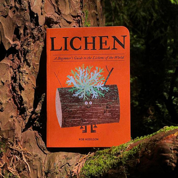 Book titled 'Lichen' by Rob Hodgson on a tree trunk in a forest setting