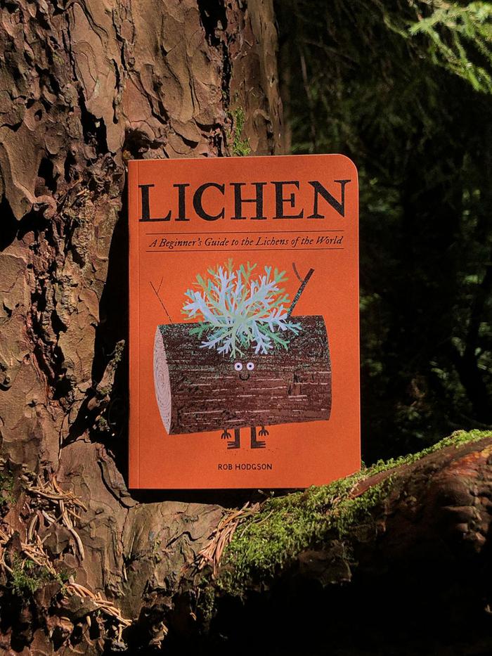 Book titled 'Lichen' by Rob Hodgson on a tree trunk in a forest setting
