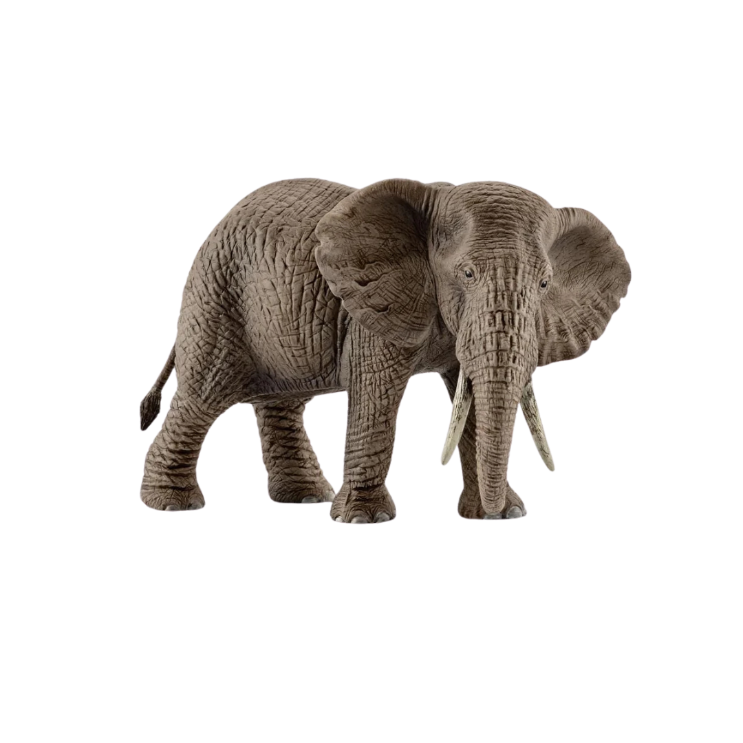 Schleich African Elephant