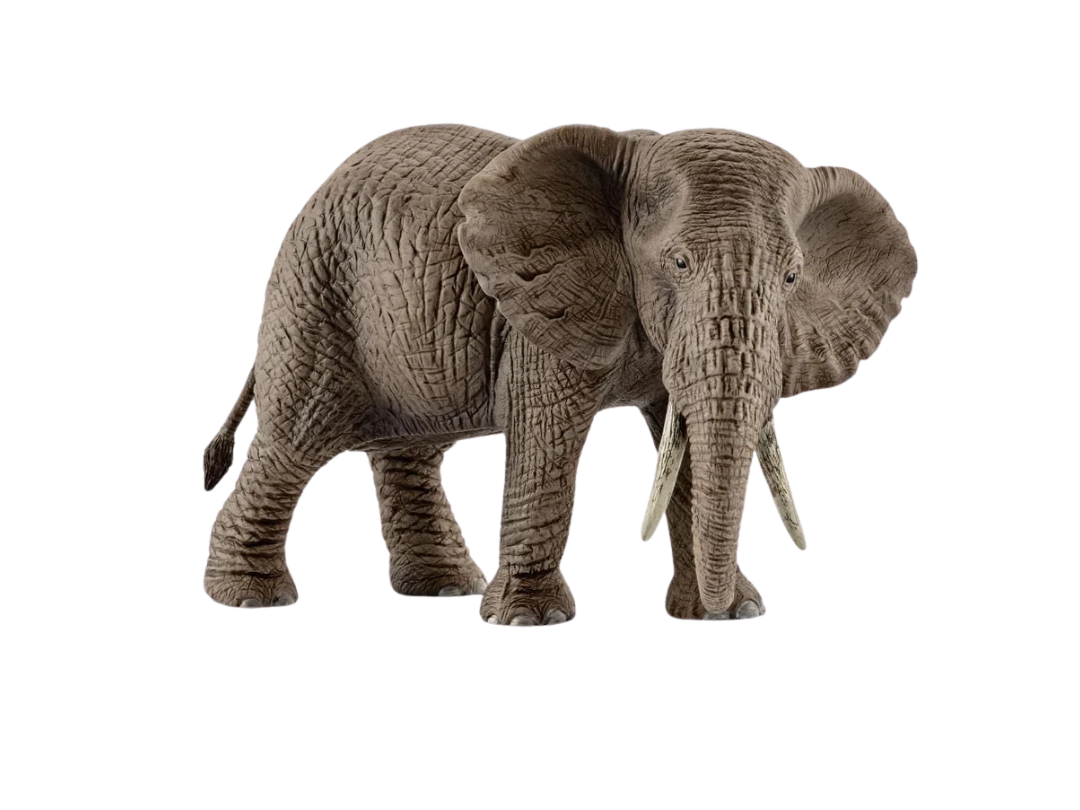 Schleich African Elephant