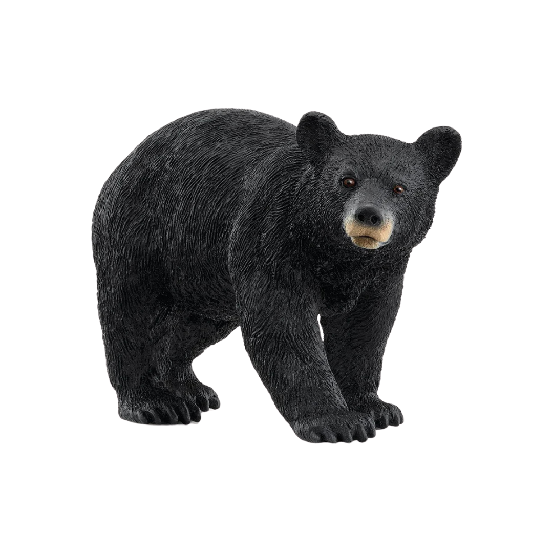 Schleich American Black Bear