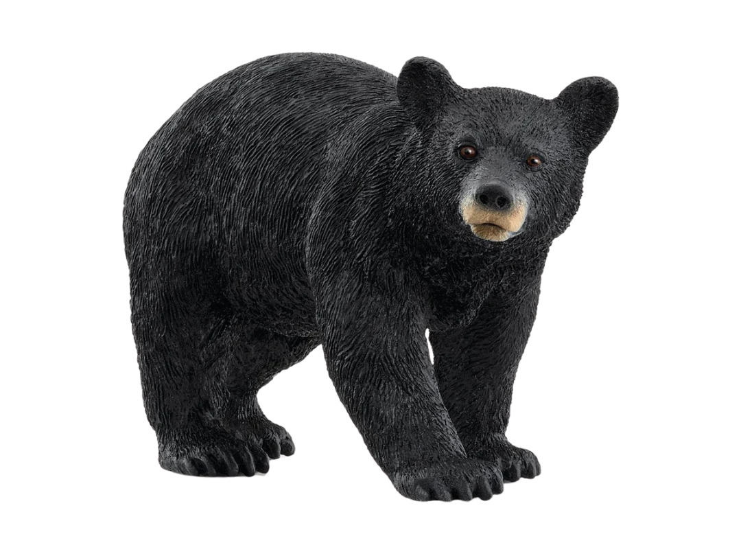 Schleich American Black Bear