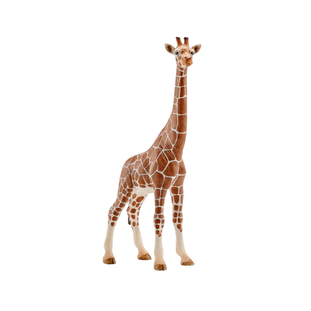 Schleich Giraffe