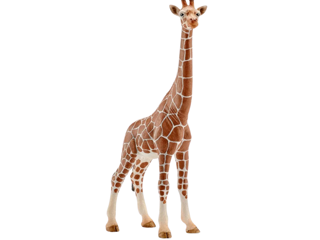 Schleich Giraffe