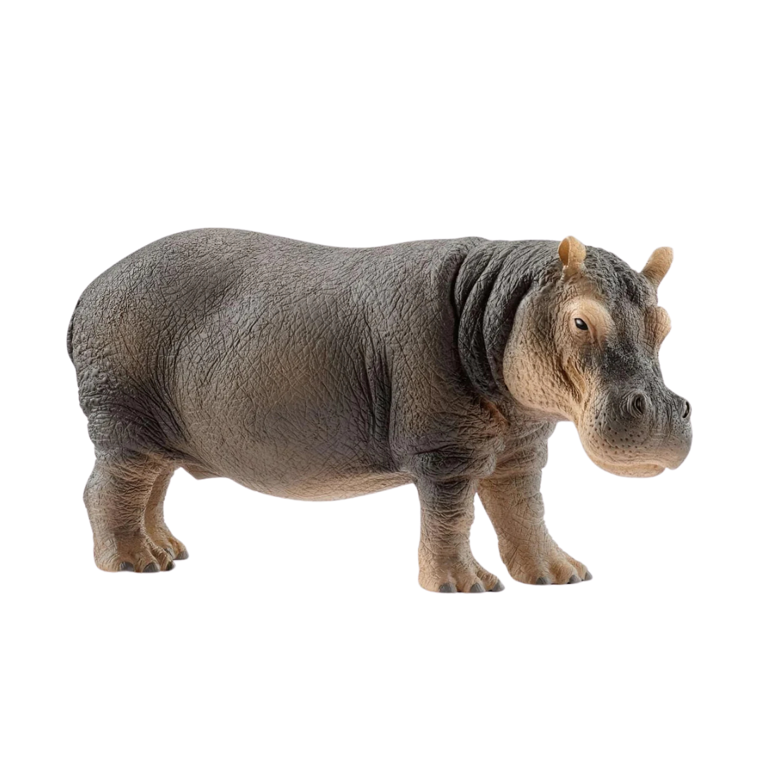 Schleich Hippopotamus