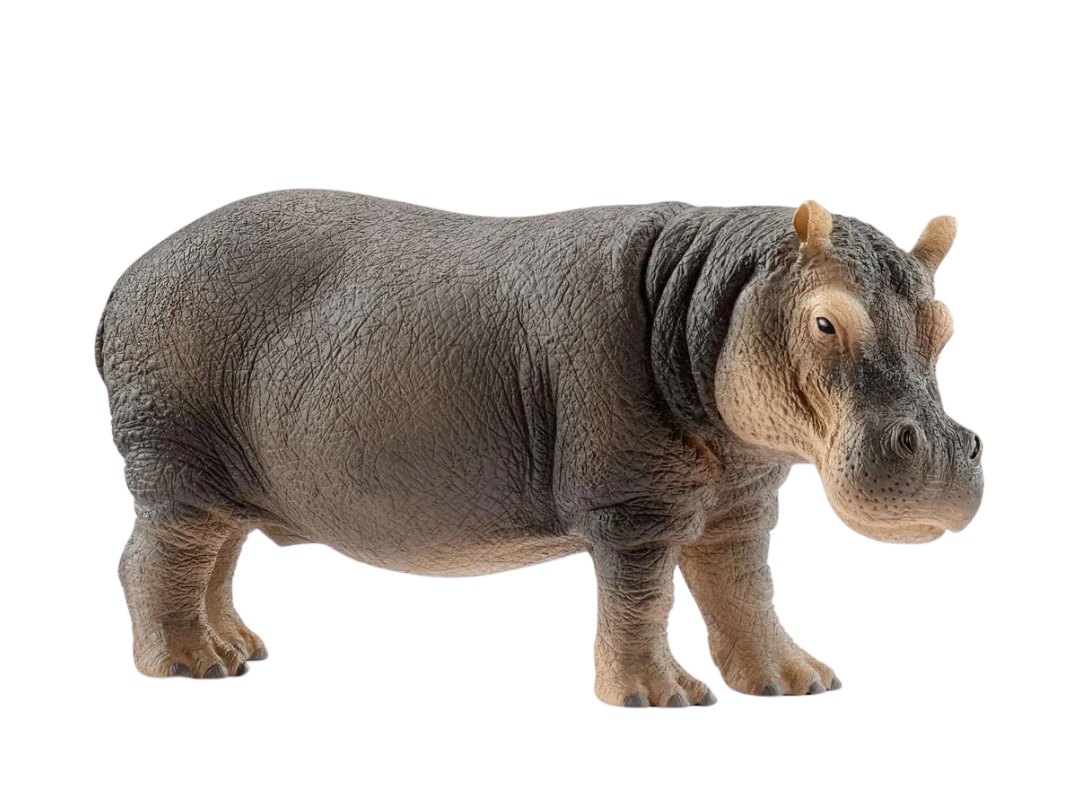 Schleich Hippopotamus